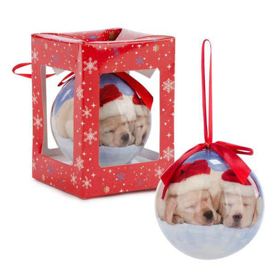 Boule lumineuse chiens